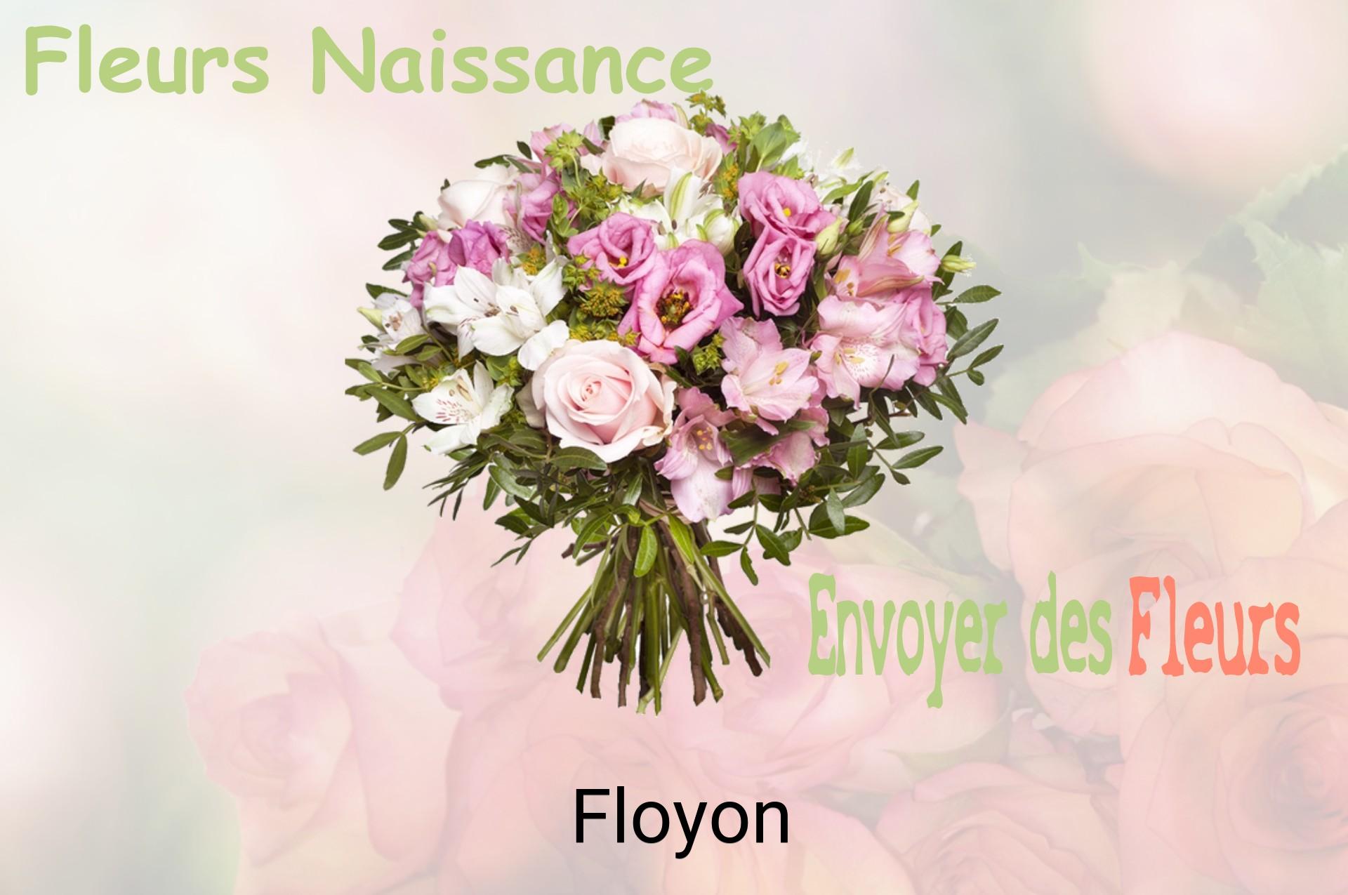 Bouquet de fleurs de naissance livré à Floyon